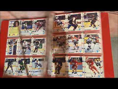 Zarley Zalapski #91 NHL Pro Set 1991-92 Hockey Trading Card