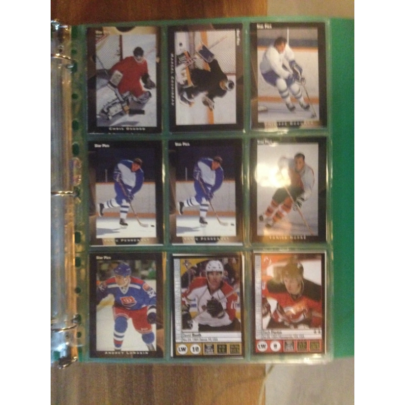 Hockey Cards: Assorted Pack #1 [Pinnacle+Pacific...] BooksCardsNBikes