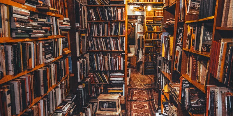 The Allure of the Past: Discovering the Magic of Antique Bookstores