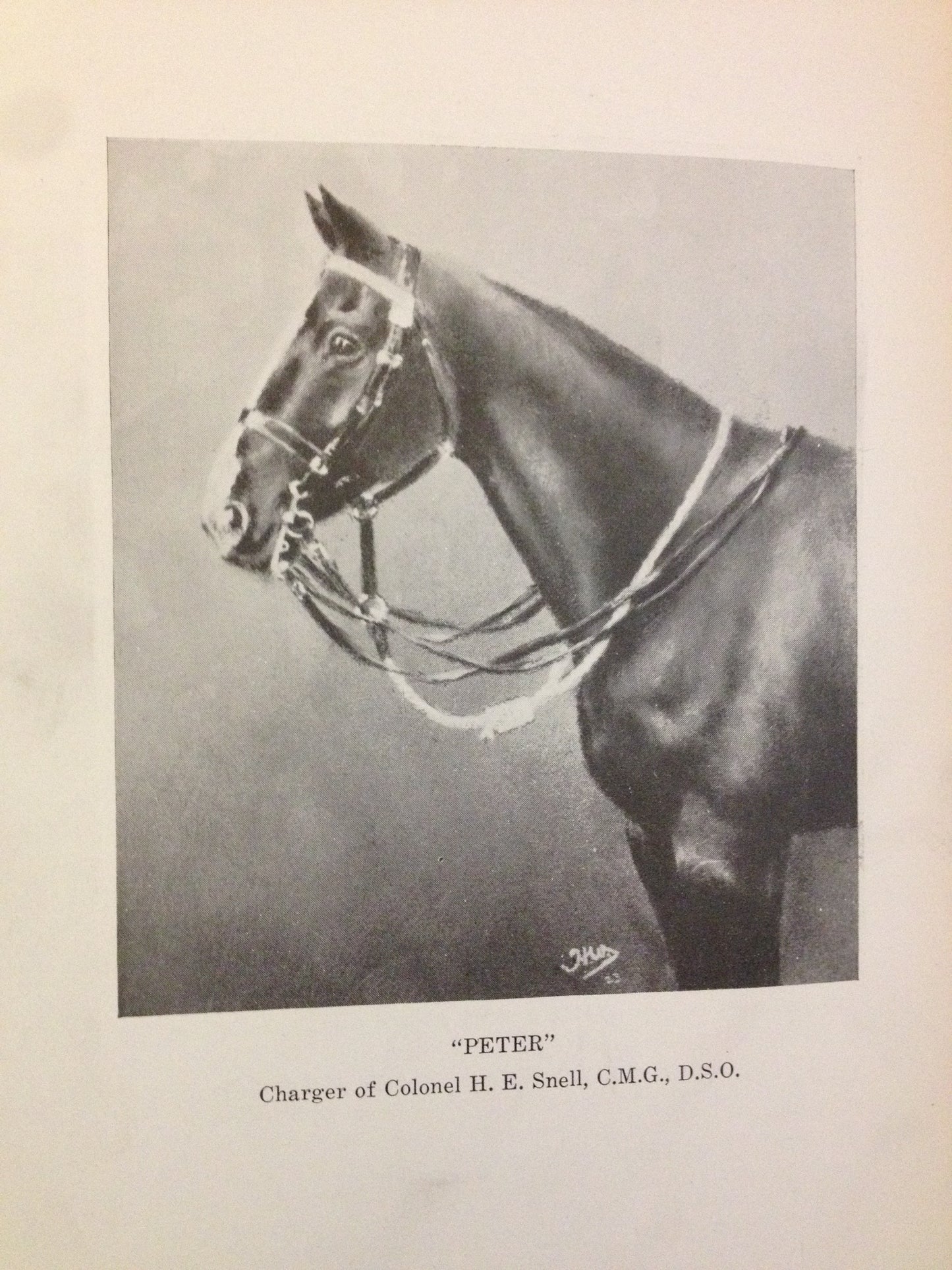 THE HORSE IN WAR   BY: LT. COL. D. S. TAMBLYN
