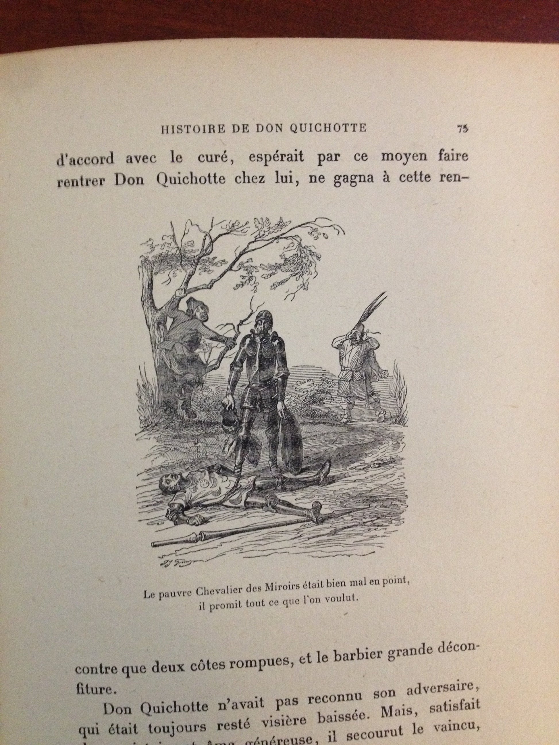 CERVANTES - HISTOIRE DE DON QUICHOTTE  BY:  CERVANTES BooksCardsNBikes