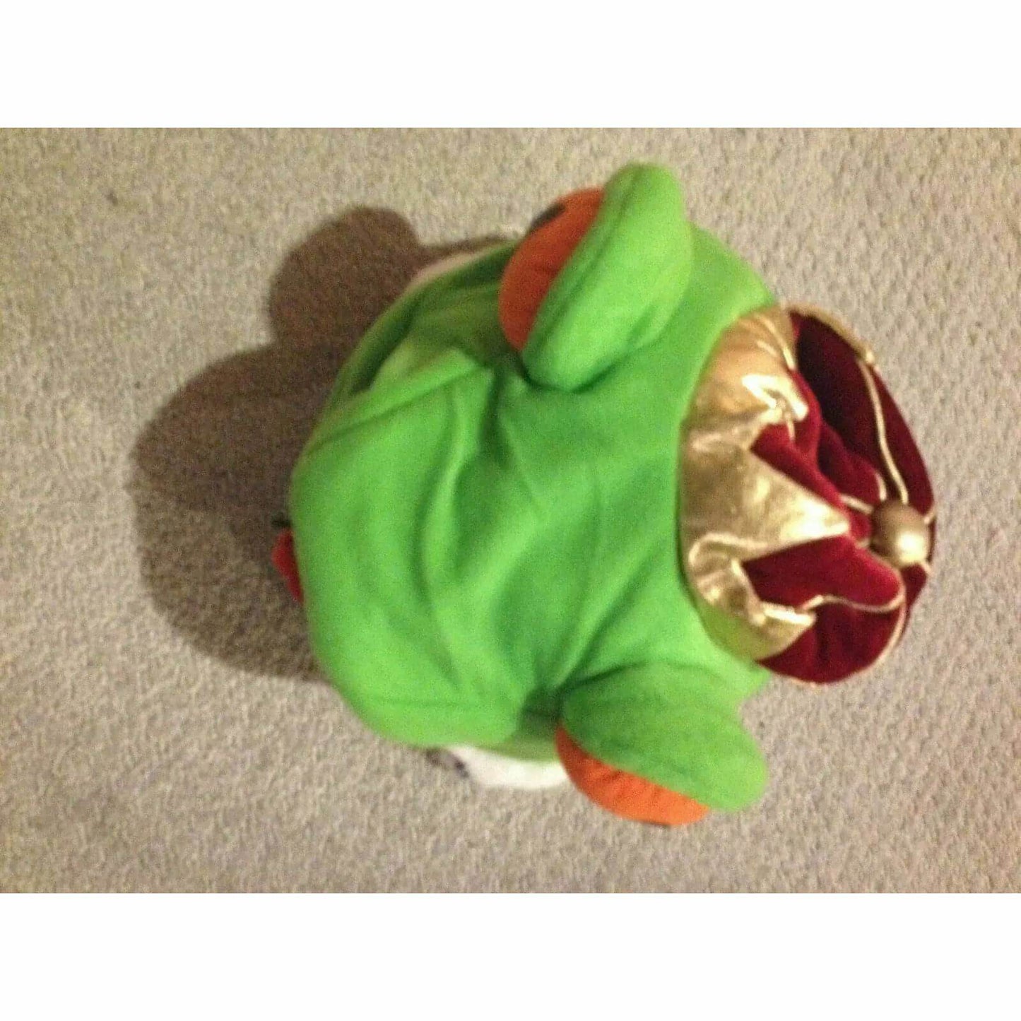 Childrens Wizard Wardrobe+Frog Hat! [Male+Female] BooksCardsNBikes