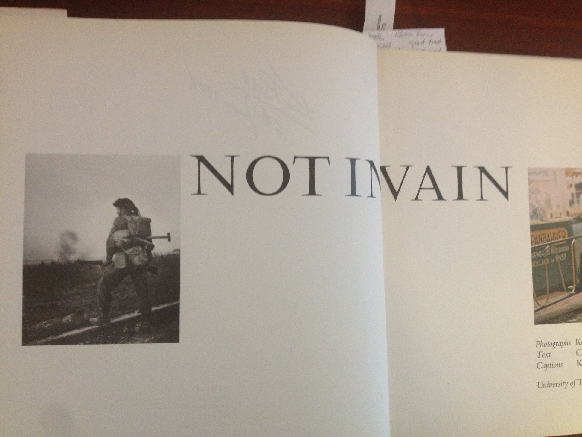 NOT IN VAIN BY: KEN BELL BooksCardsNBikes