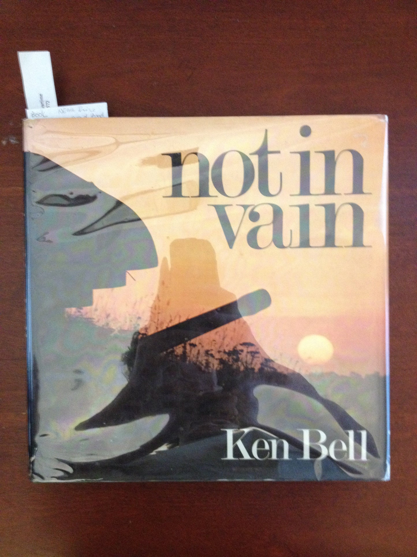 NOT IN VAIN BY: KEN BELL BooksCardsNBikes