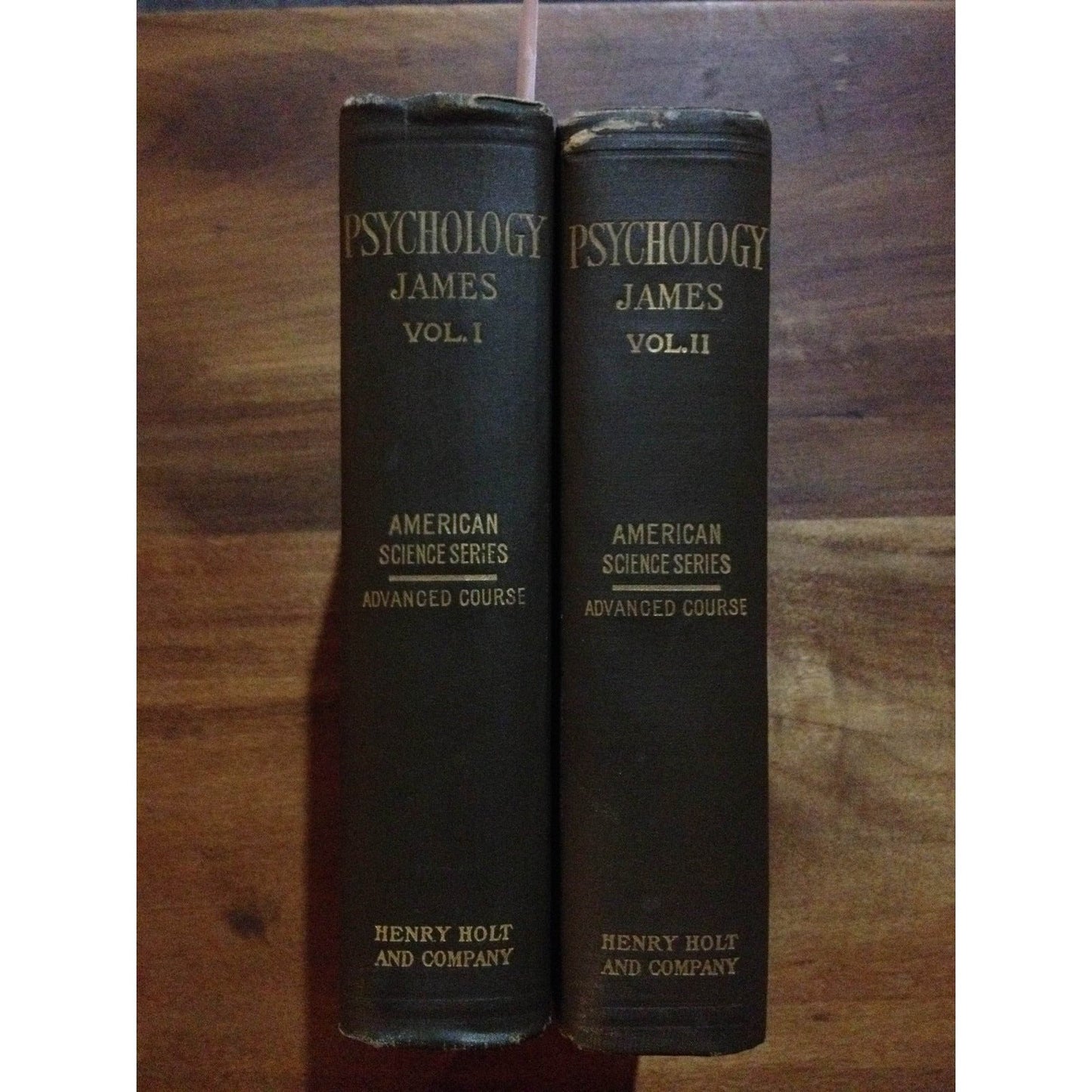 THE PRINCIPLES OF PSYCHOLOGY  BY:  WILLIAM JAMES [2 VOL] BooksCardsNBikes