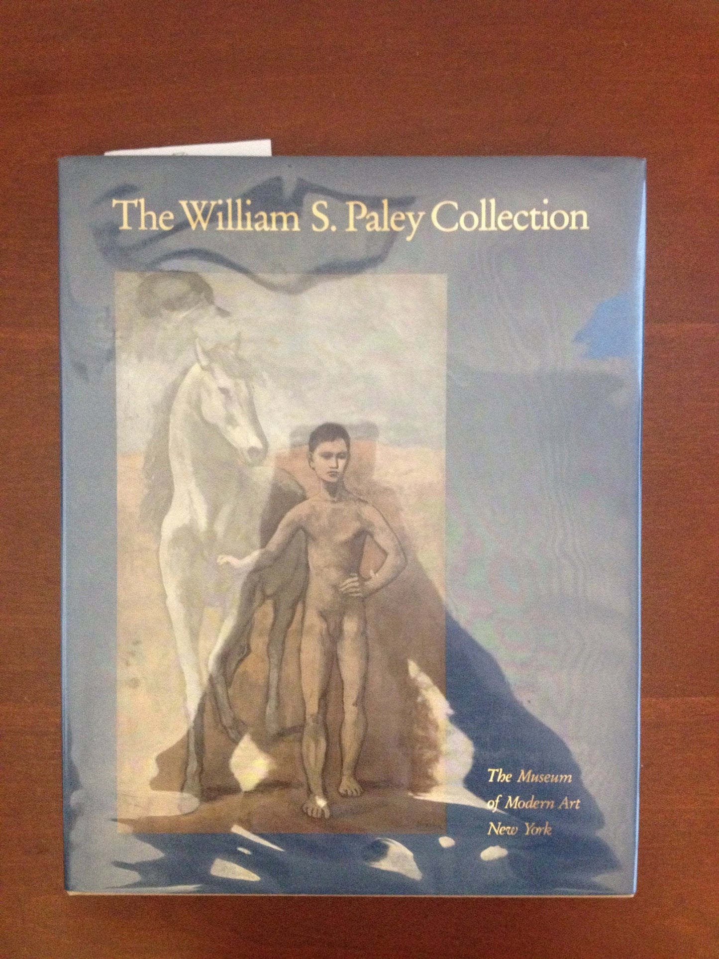 WILLIAM S. PALEY COLLECTION BY: WILLIAM RUBIN MATTHEW ARMSTRONG BooksCardsNBikes